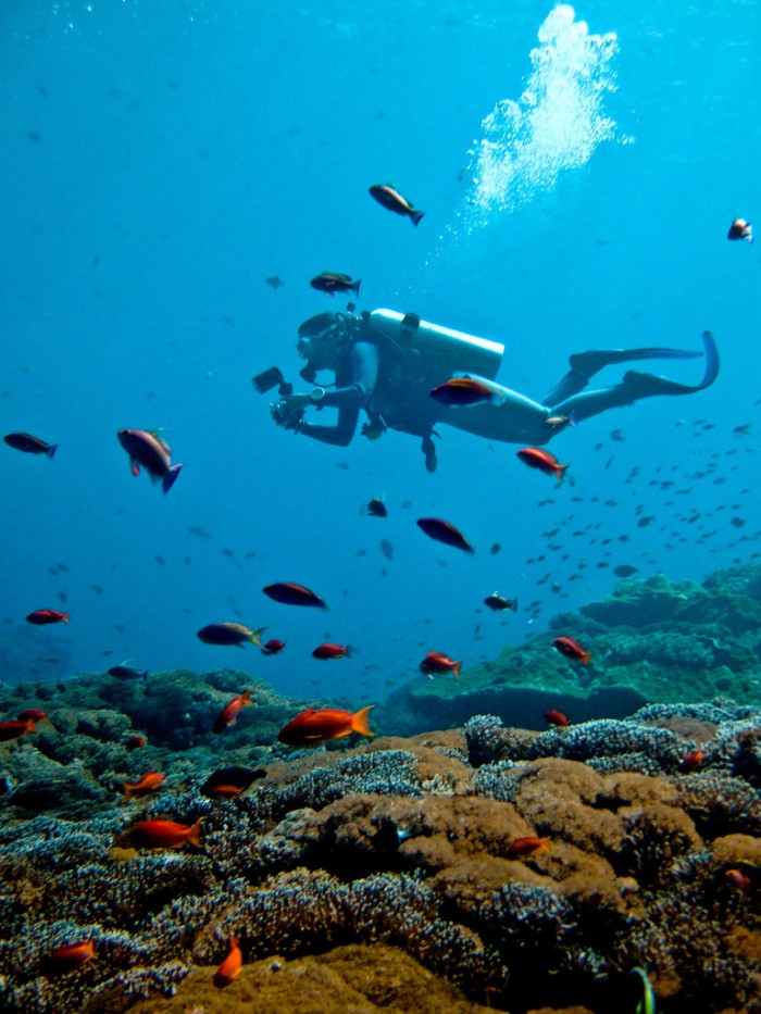 Scuba diving Bali Nusa Lembongan