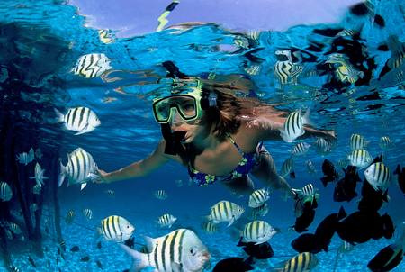 Underwater adventure at Riviera Maya