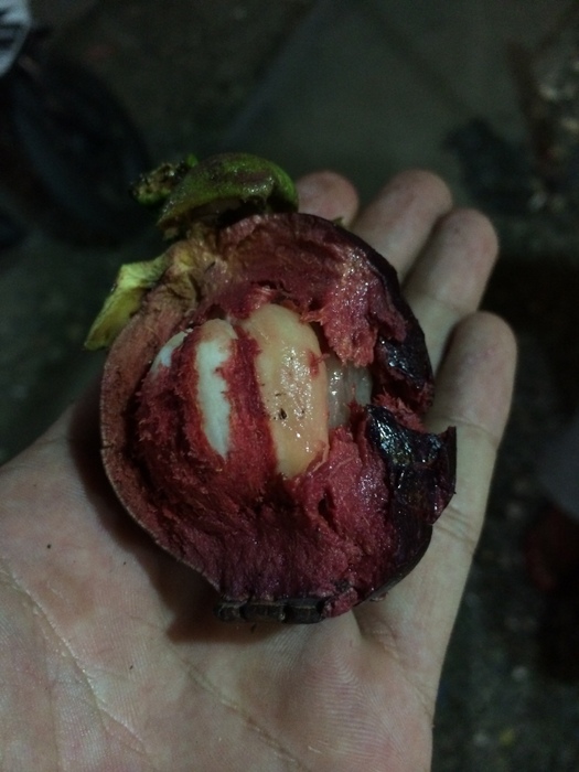 フルーツが豊富なセブ島で見つけたもの マンゴスチン セブ島情報 デイリーマガジン エキサイトセブ
